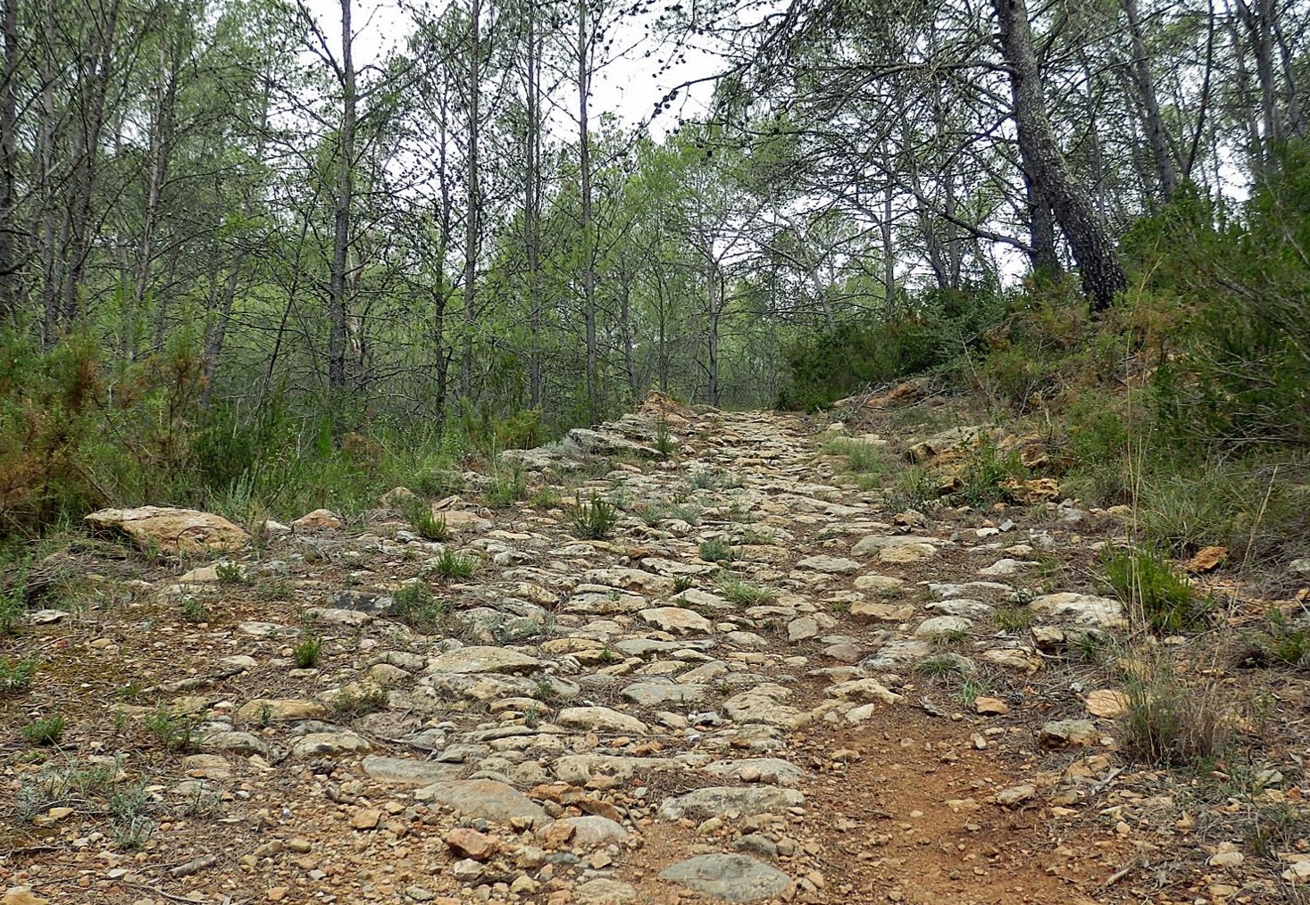 ruta al castillo de ain-infosvalencia