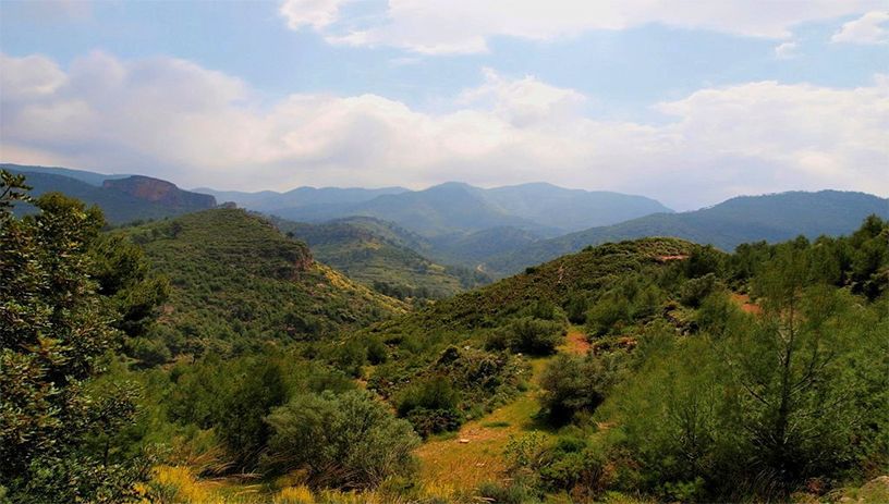 Parque Natural Sierra Calderona