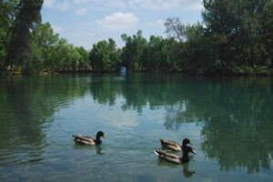 El Lago Anna y Gorgo de la escalera