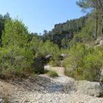 Excursión al Abrigo de Voro 6
