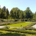 Rosengarten- Infosvalencia