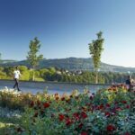 El Jardín de las rosas