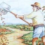 El Cacau del Collaret 5