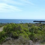 Isla de tabarca Infosvalencia