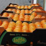 sorteo naranja jaffa