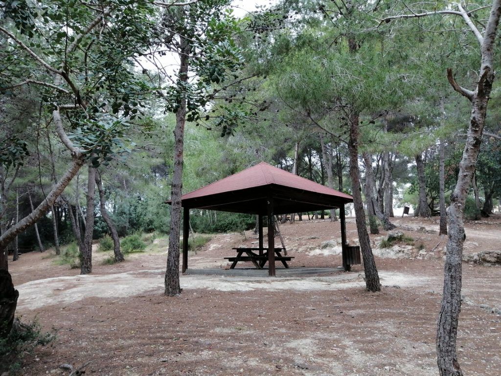 Canyada del conill torrent