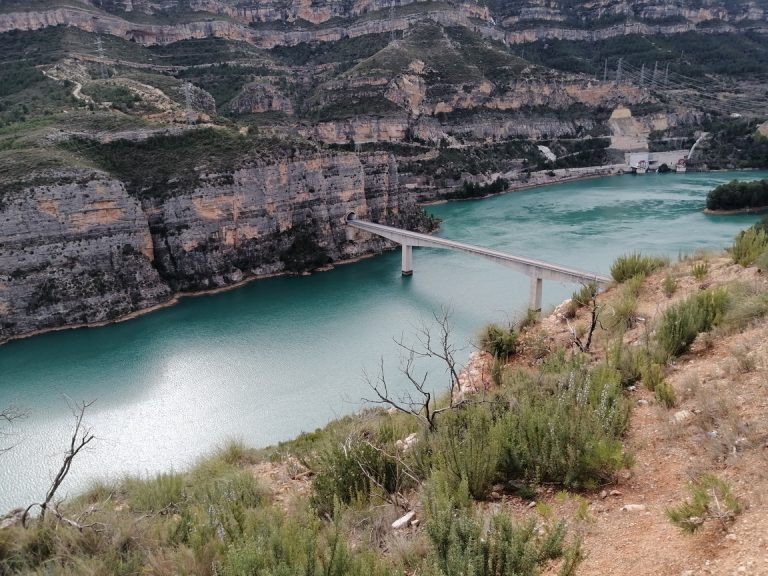 Cortes de pallas infosvalencia