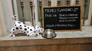 bar que admite mascotas-infosvalencia