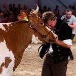expo-bea-bern-infosvalencia