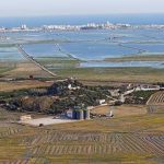 montanyeta-sueca-infosvalencia
