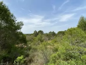 la vallesa-infosvalencia