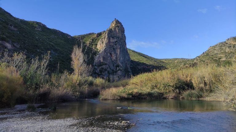 gestalgar-infosvalencia