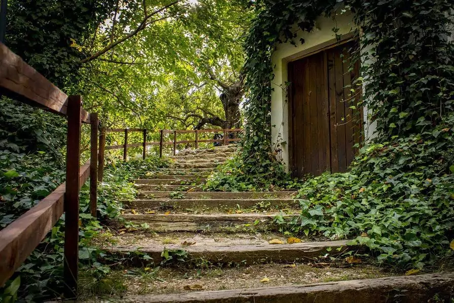 masi-molino-galan-infosvalencia