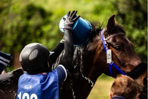 equitacion-infosvalencia