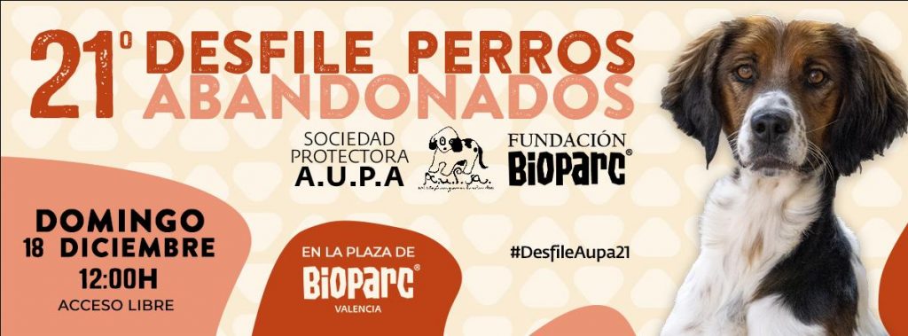 desfile-de-perros-abandonados-aupa-infosvalencia