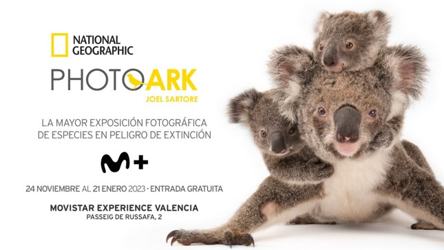 photo-ark-infosvalencia