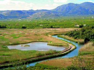 marjal-pego-oliva-infosvalencia-