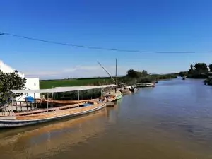 Descubre El Palmar de Valencia