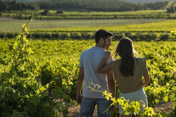 guia-turistico-infosvalencia