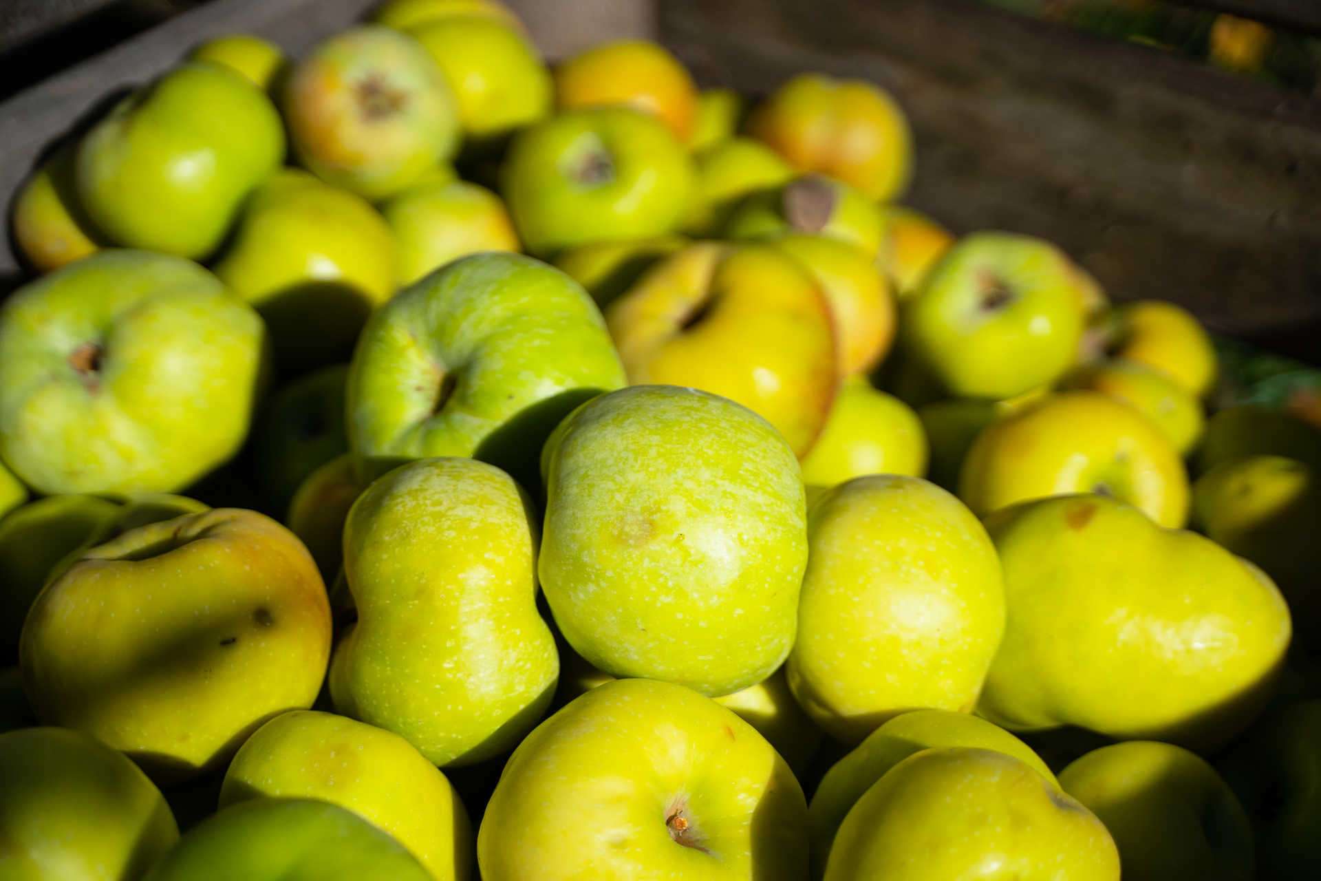 feria manzana-infosvalencia