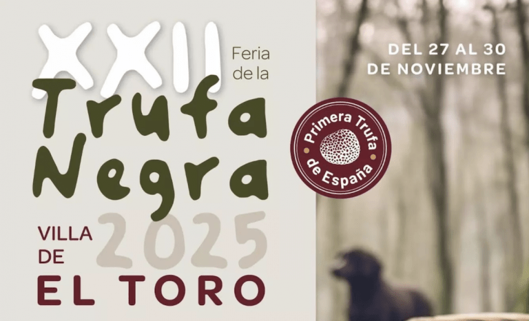 trufa toro -infosvalencia