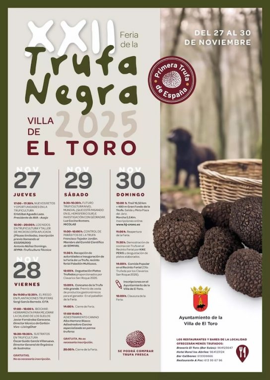 trufa toro -infosvalencia trufa toro -infosvalencia