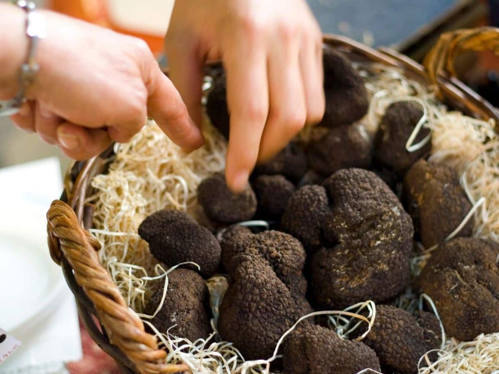 trufa toro -infosvalencia trufa toro -infosvalencia