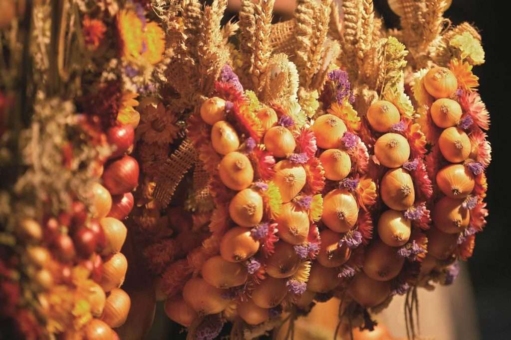 zibelemarit  infosvalencia