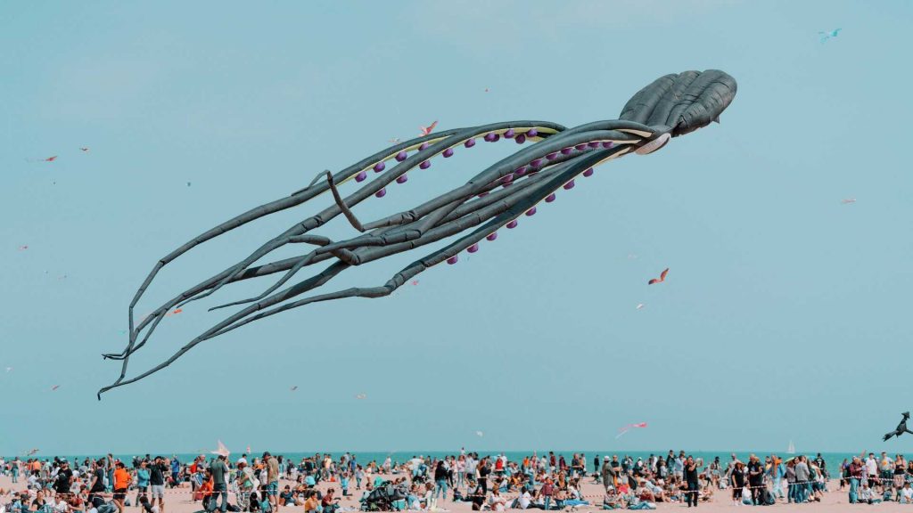 cachirulos-infosvalencia-2026 cachirulos-infosvalencia-2026