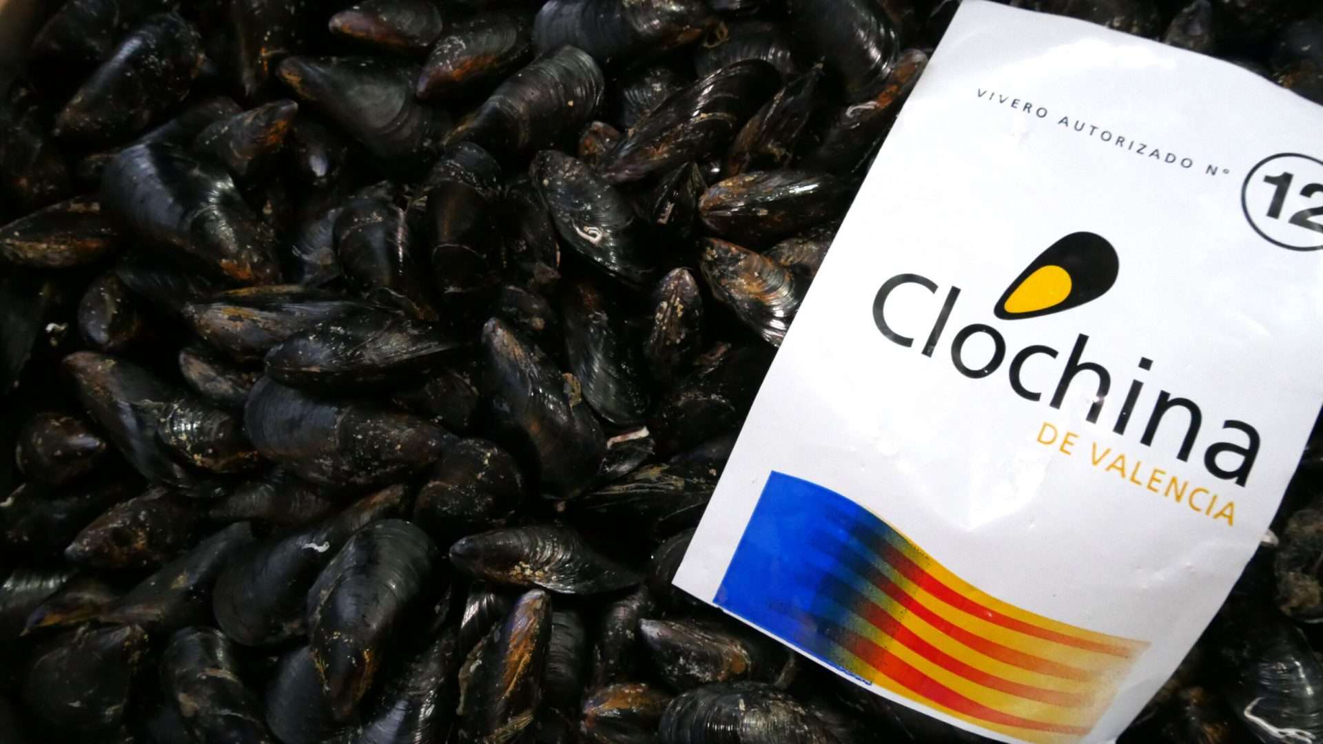 fiesta clochina 2026-infosvalencia
