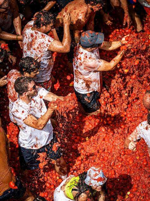 tomatina 2026-infosvalencia