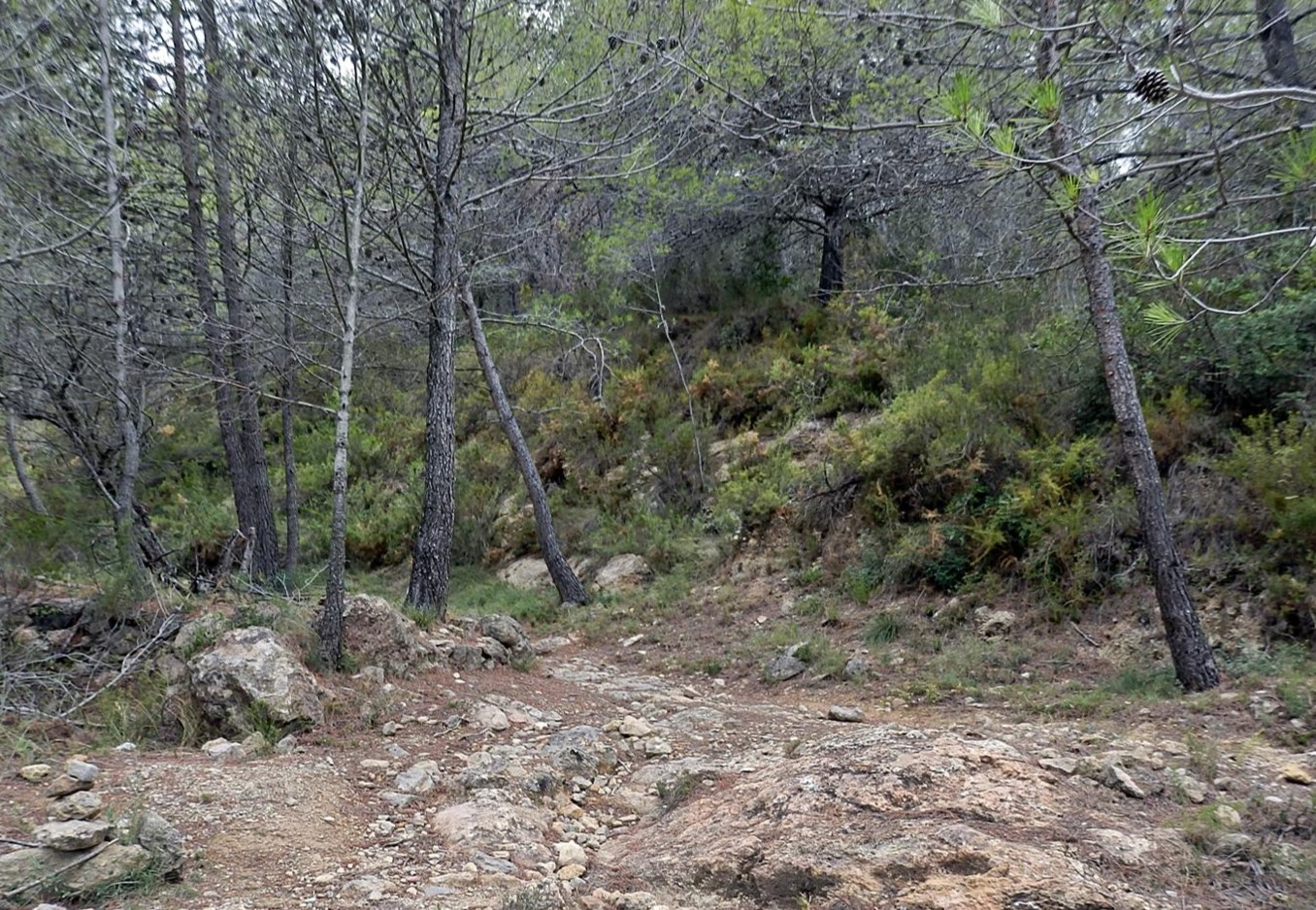 ruta al castillo de ain-infosvalencia
